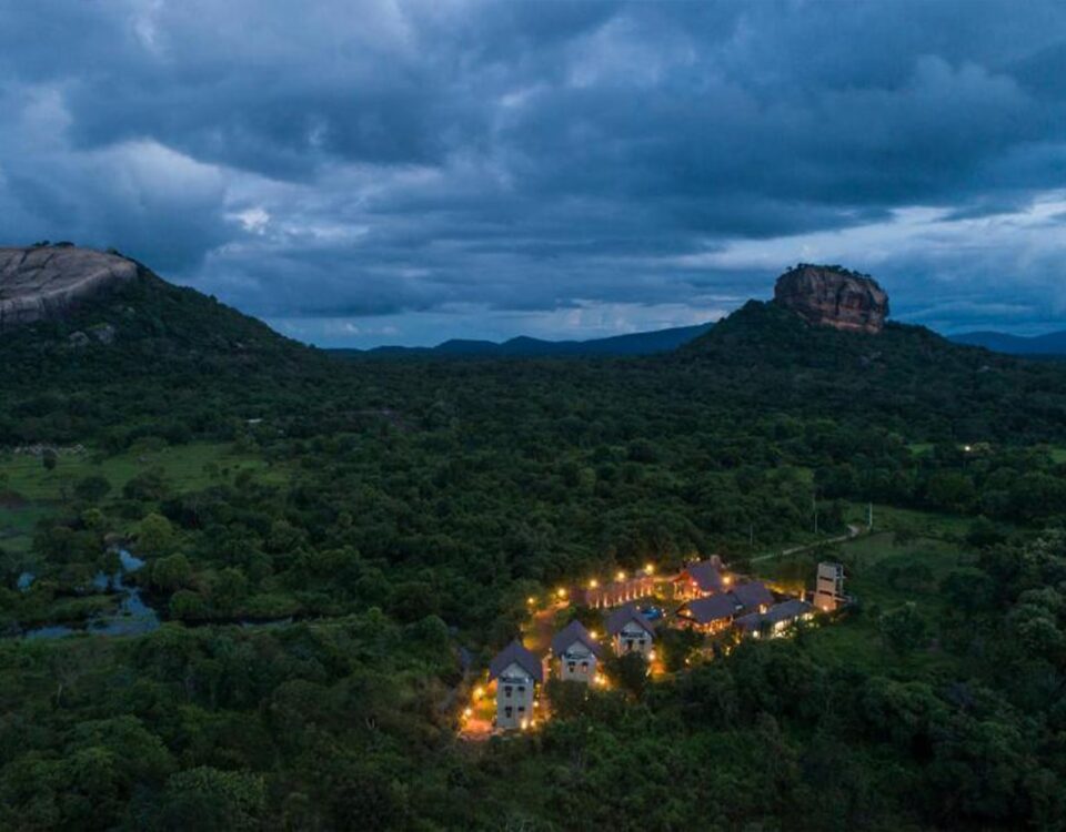 LED Lights by Eco Solve Roo Mansala 8