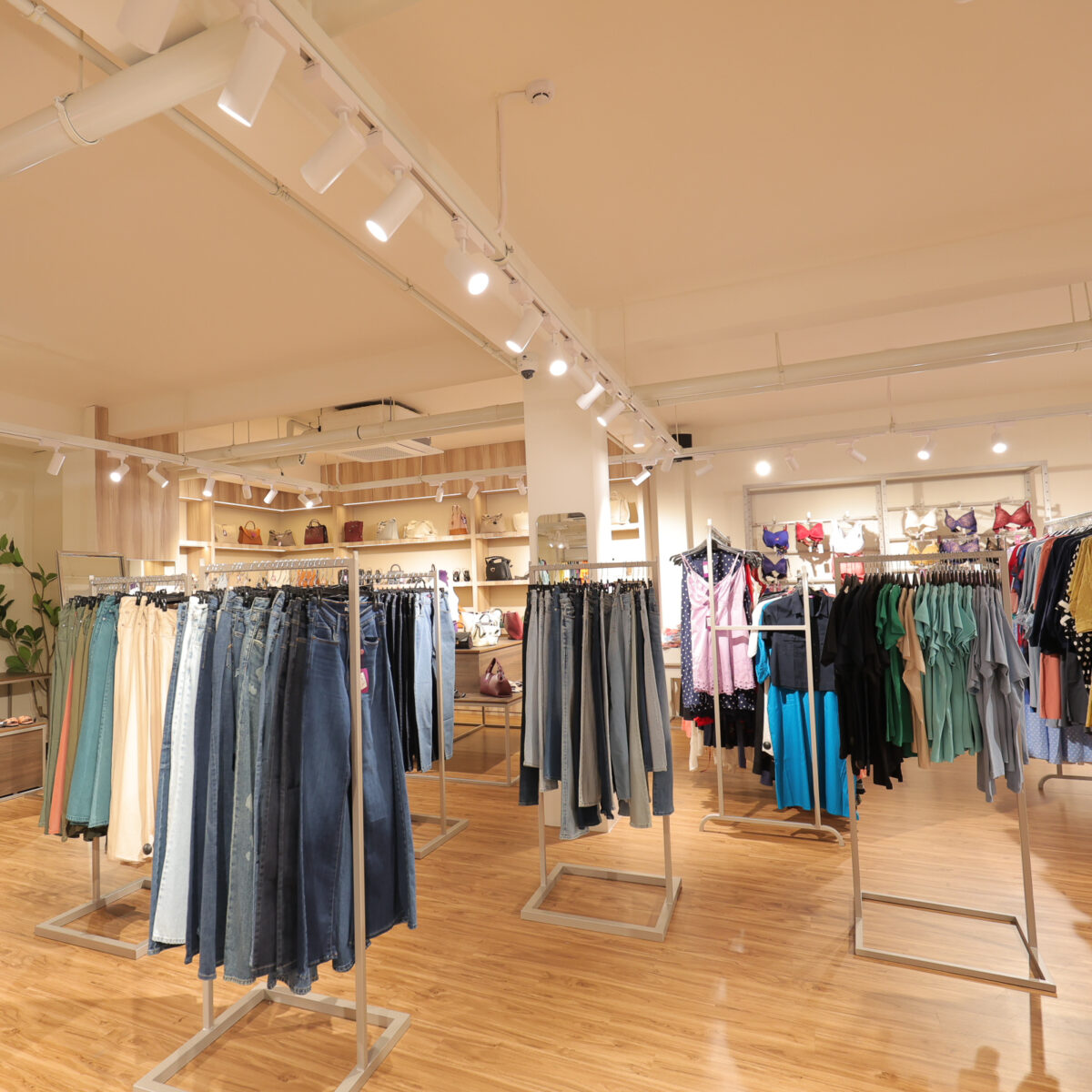 La Vivente, Nugegoda, lighting by Eco Solve