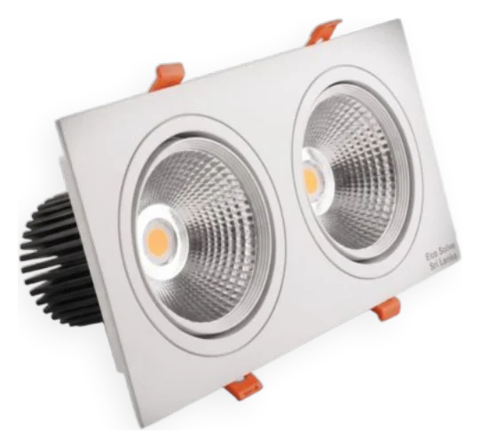 Omni Duo Recessed Downlight