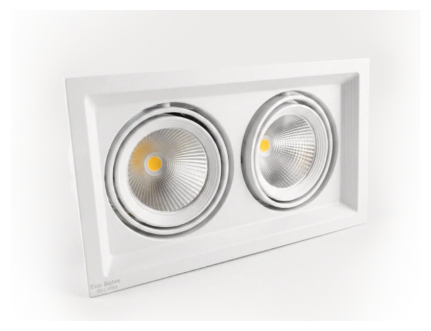 Omni Duo Recessed Downlight, Cove